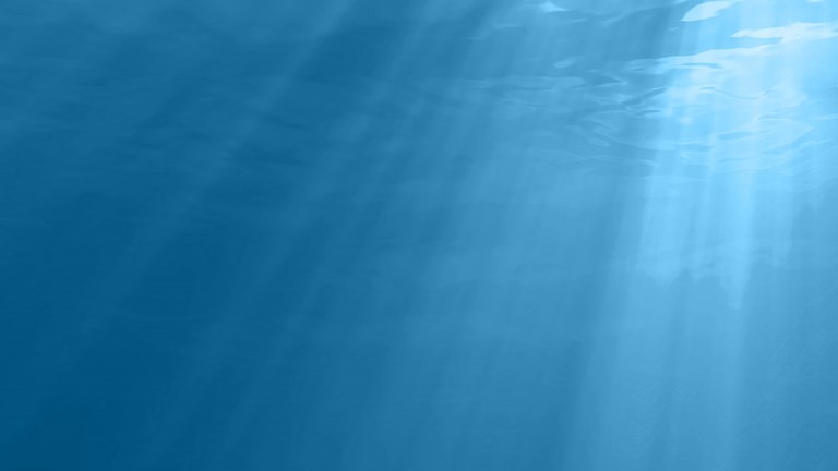 The Municipal Authority